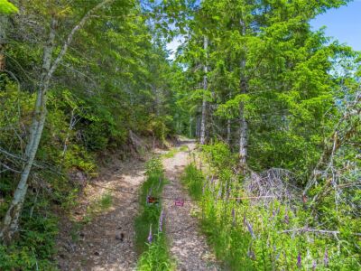905 NE Tahuya Blacksmith Road , Tahuya, WA 98588 - Photo 17
