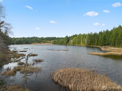 905 NE Tahuya Blacksmith Road , Tahuya, WA 98588 - Photo 20