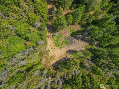 905 NE Tahuya Blacksmith Road , Tahuya, WA 98588 - Photo 2