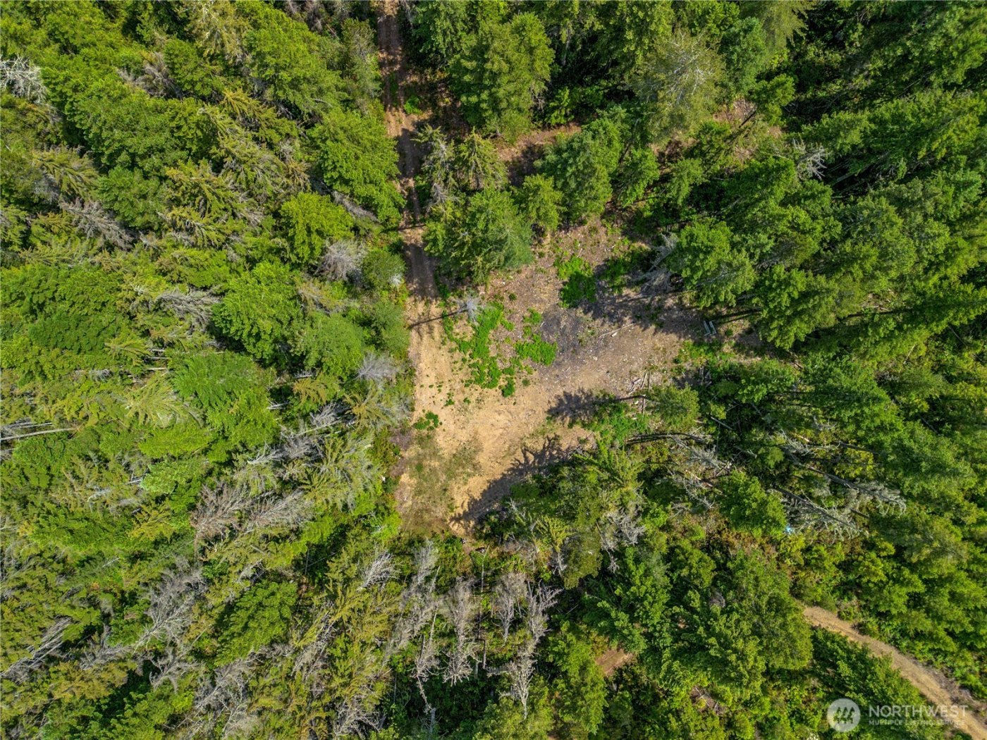 905 NE Tahuya Blacksmith Road , Tahuya, WA 98588