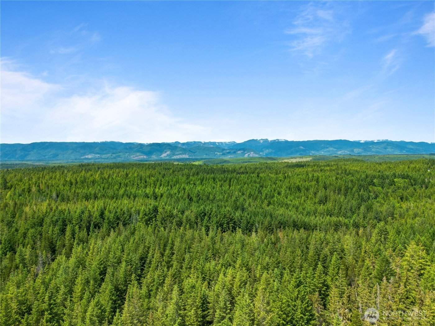 905 NE Tahuya Blacksmith Road , Tahuya, WA 98588