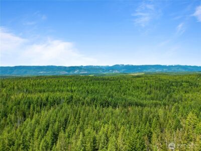 905 NE Tahuya Blacksmith Road , Tahuya, WA 98588 - Photo 5