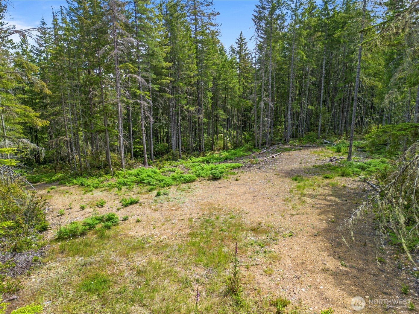 905 NE Tahuya Blacksmith Road , Tahuya, WA 98588