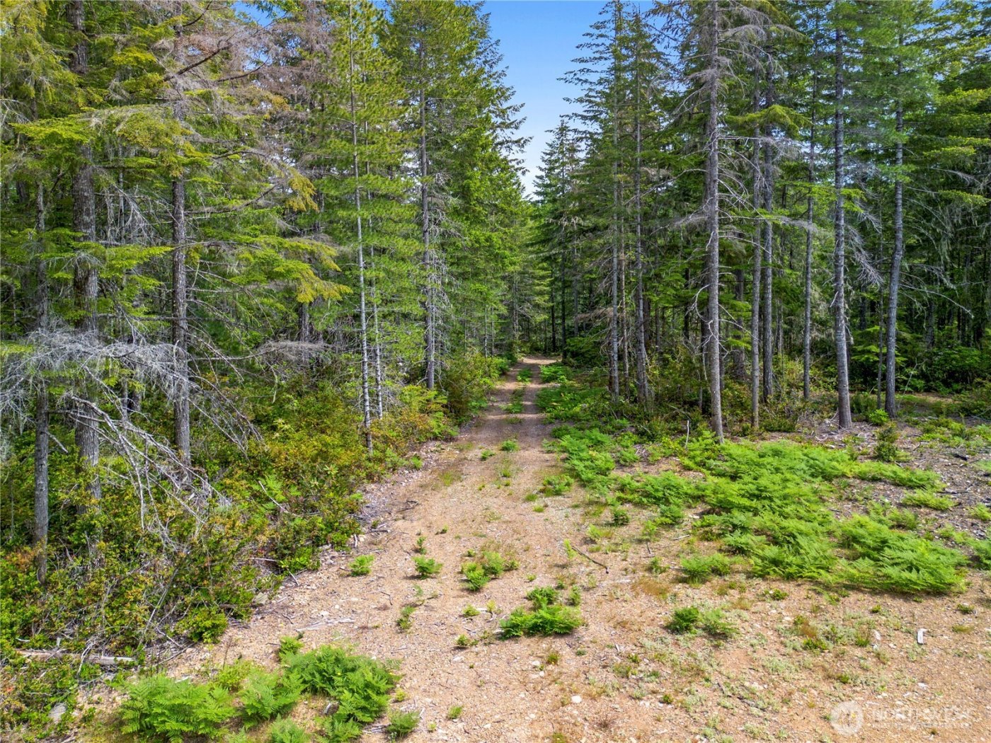 905 NE Tahuya Blacksmith Road , Tahuya, WA 98588