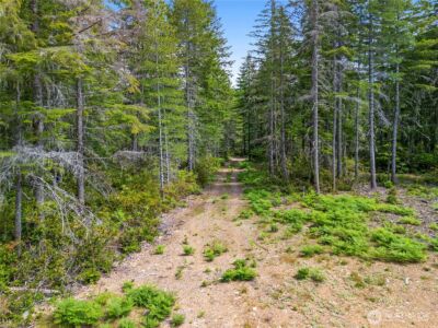 905 NE Tahuya Blacksmith Road , Tahuya, WA 98588 - Photo 7