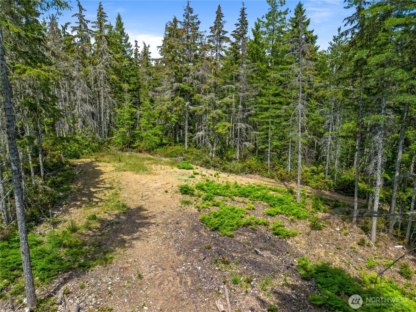 905 NE Tahuya Blacksmith Road , Tahuya, WA 98588