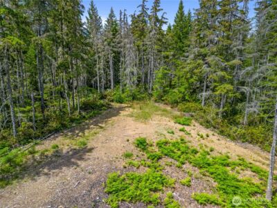 905 NE Tahuya Blacksmith Road , Tahuya, WA 98588 - Photo 9