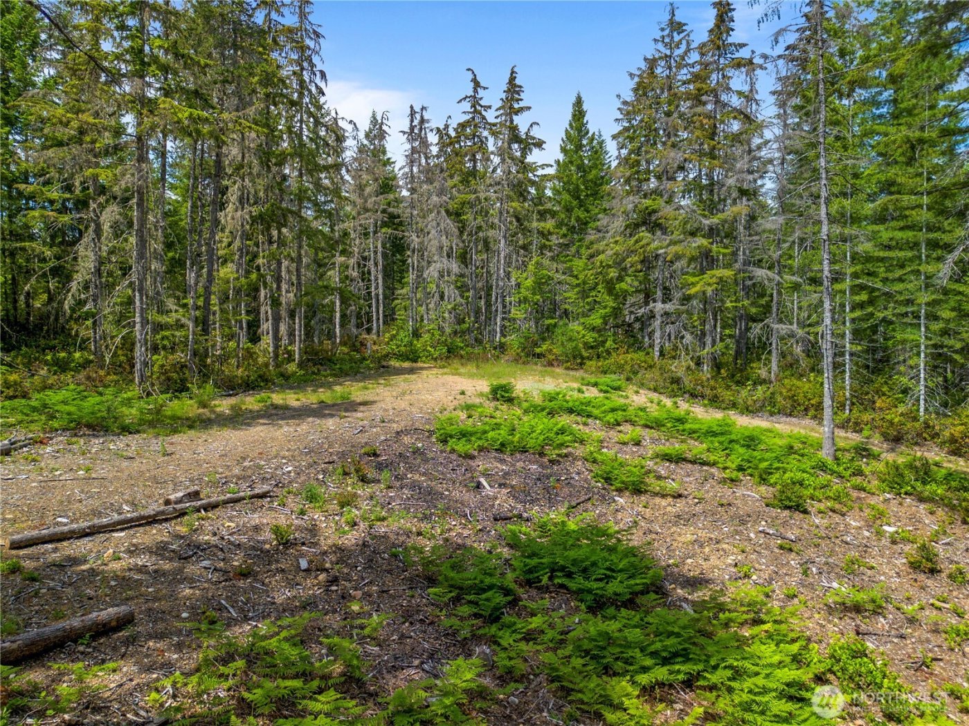 905 NE Tahuya Blacksmith Road , Tahuya, WA 98588