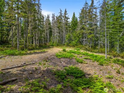 905 NE Tahuya Blacksmith Road , Tahuya, WA 98588 - Photo 10
