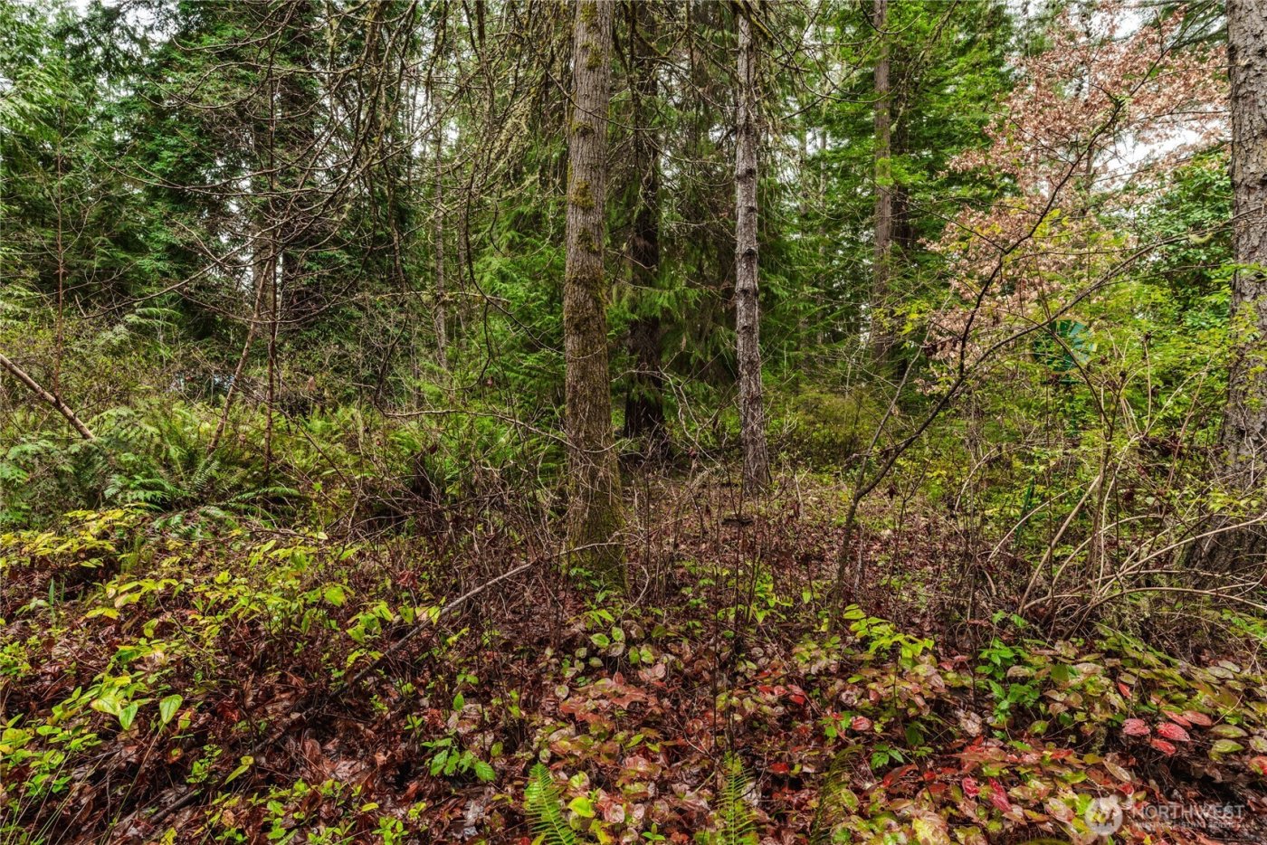 7418 NW Ioka Drive , Silverdale, WA 98383