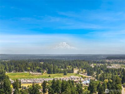 643 School Street SE, Lacey, WA 98503 - Photo 32