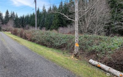 0 Barber Road , Sekiu, WA 98381 - Photo 3