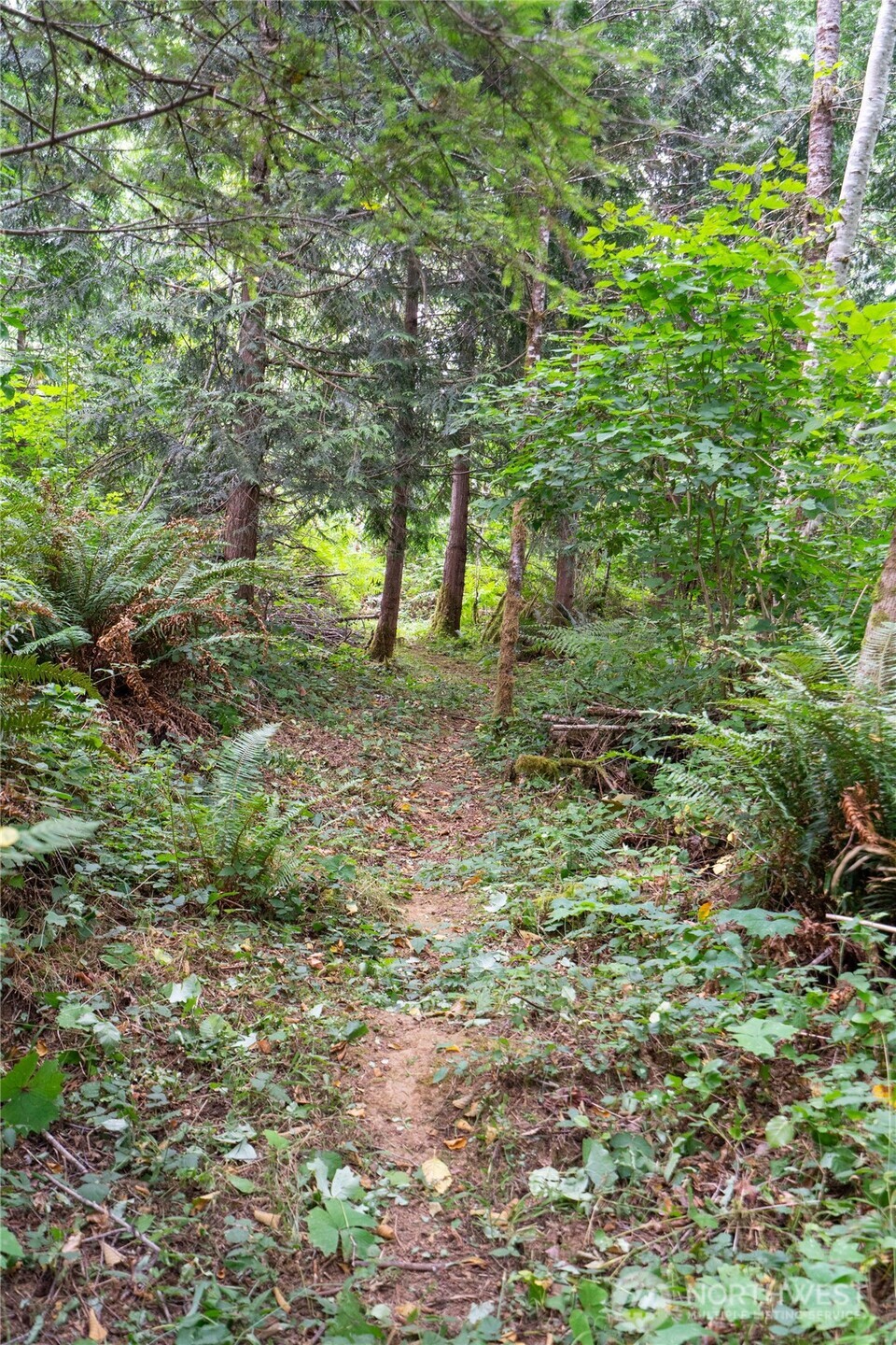 5 Meadowhills Lane , Elma, WA 98541