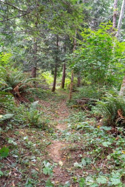 5 Meadowhills Lane , Elma, WA 98541 - Photo 38