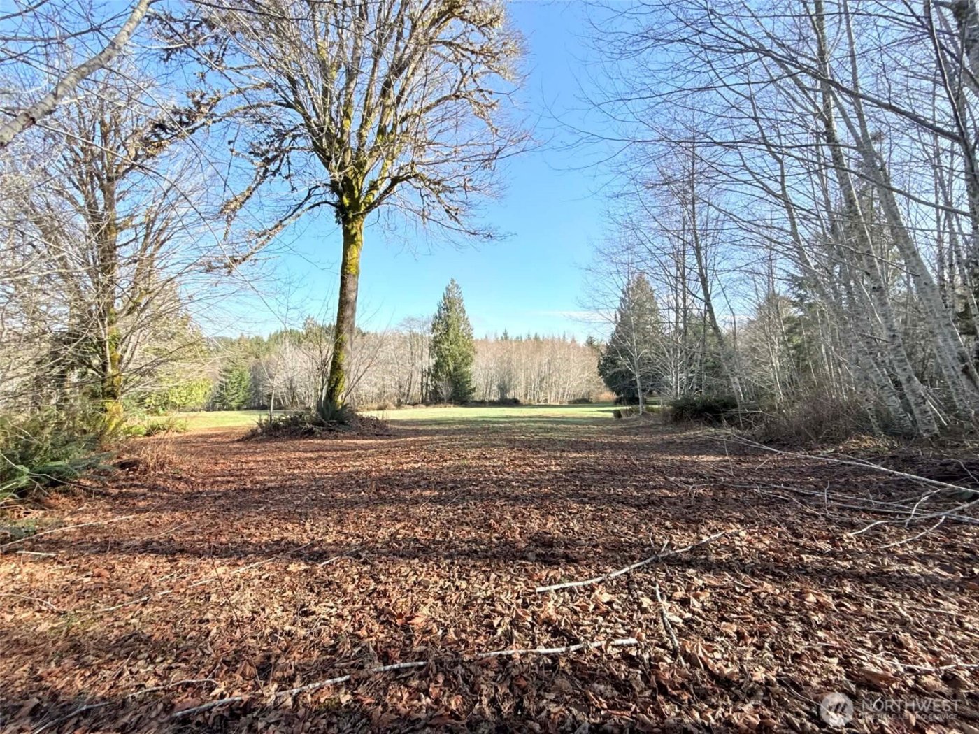 5951 W Satsop Cloquallum Road , Elma, WA 98541