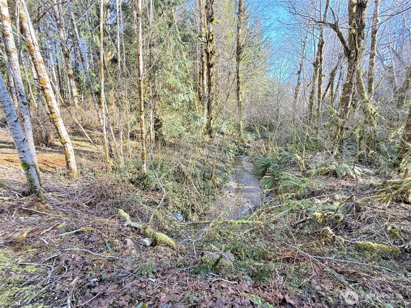 5951 W Satsop Cloquallum Road , Elma, WA 98541