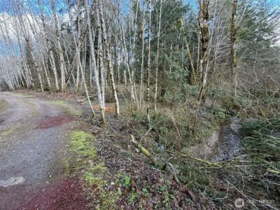 5951 W Satsop Cloquallum Road , Elma, WA 98541 - Photo 15