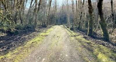 5951 W Satsop Cloquallum Road , Elma, WA 98541 - Photo 17