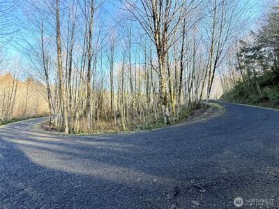 5951 W Satsop Cloquallum Road , Elma, WA 98541 - Photo 20