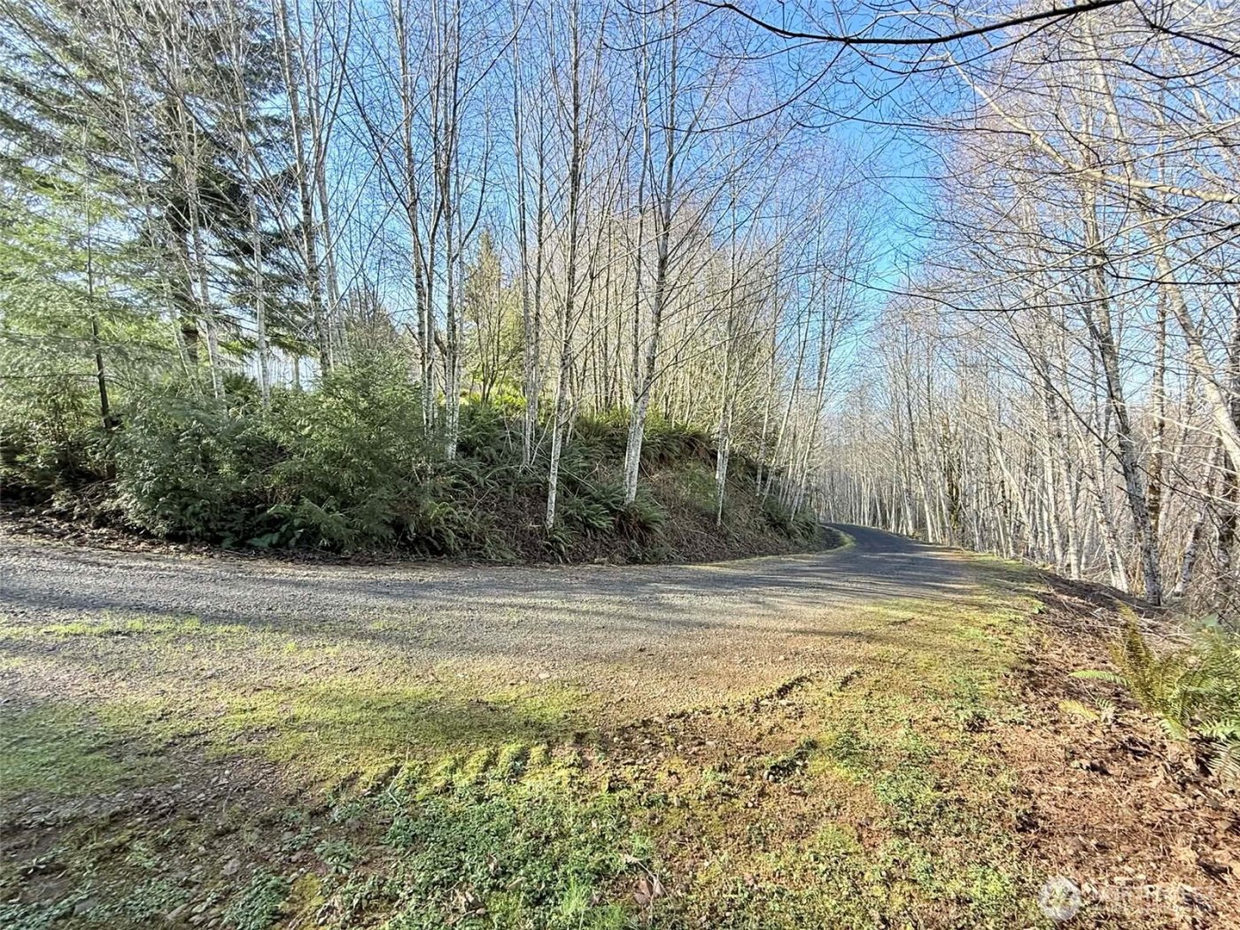 5951 W Satsop Cloquallum Road , Elma, WA 98541