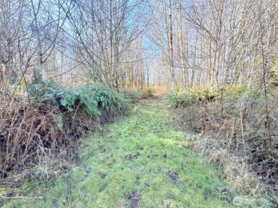 5951 W Satsop Cloquallum Road , Elma, WA 98541 - Photo 22