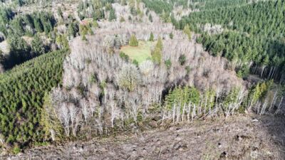 5951 W Satsop Cloquallum Road , Elma, WA 98541 - Photo 27