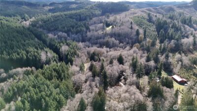 5951 W Satsop Cloquallum Road , Elma, WA 98541 - Photo 29