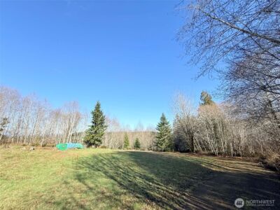 5951 W Satsop Cloquallum Road , Elma, WA 98541 - Photo 4