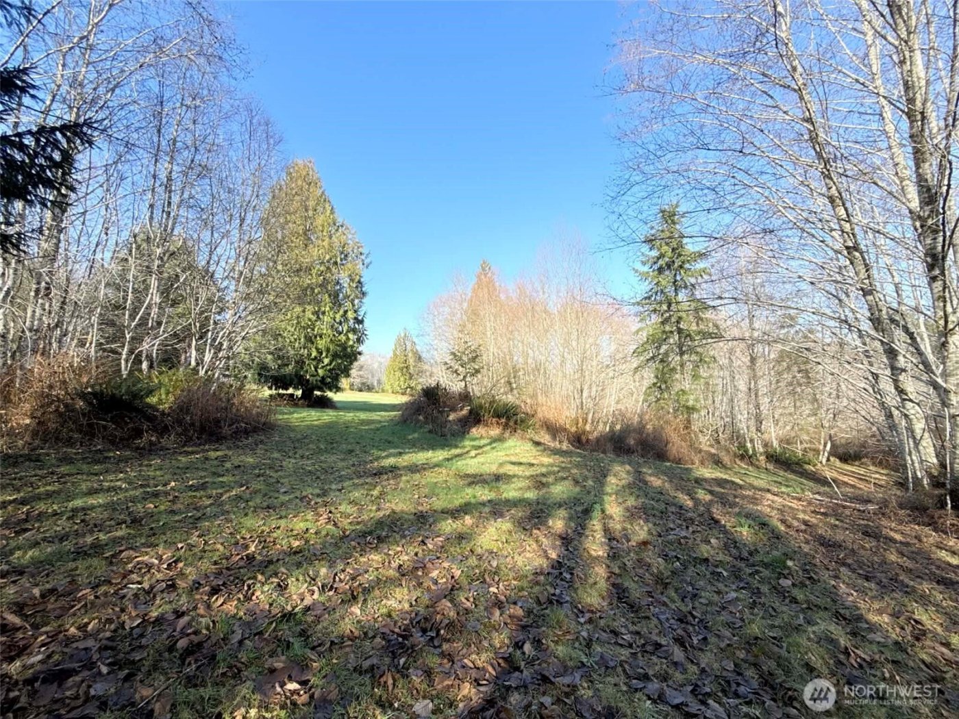 5951 W Satsop Cloquallum Road , Elma, WA 98541