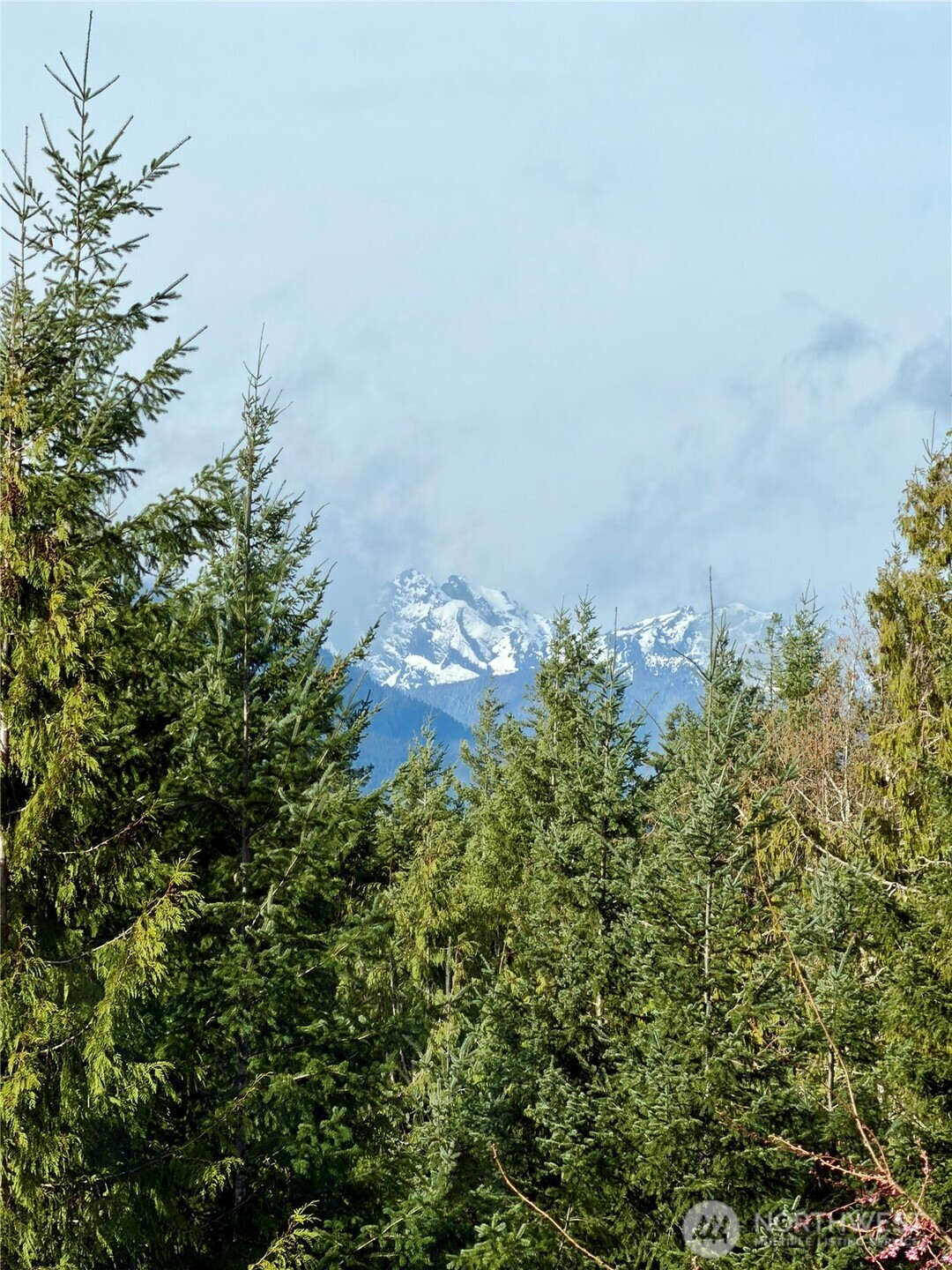 293 Blueberry Hill Drive , Quilcene, WA 98376-9667