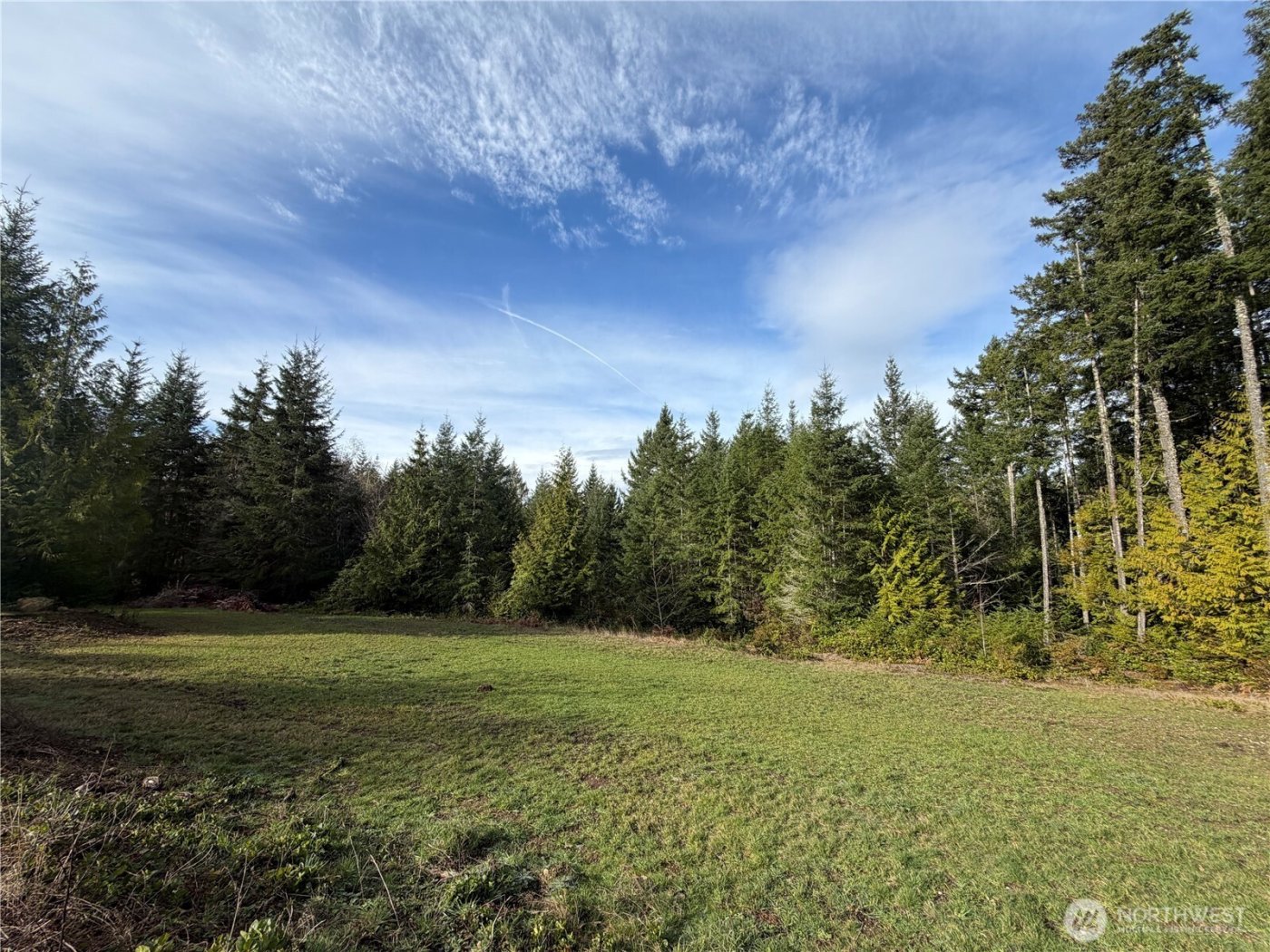293 Blueberry Hill Drive , Quilcene, WA 98376-9667