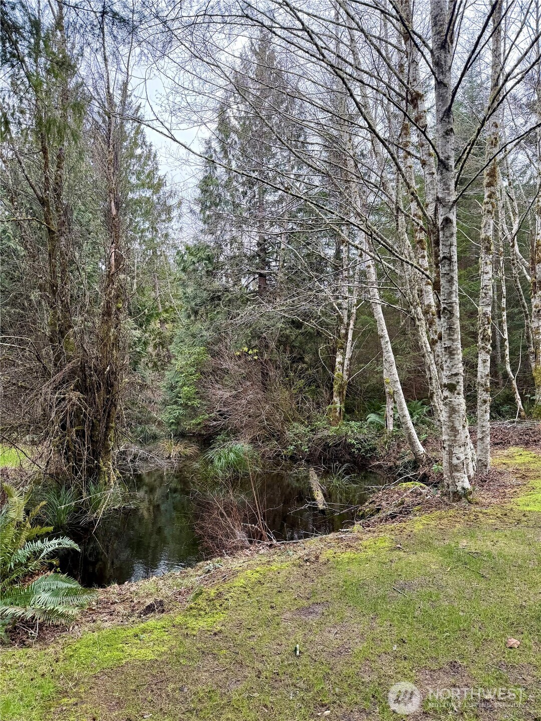 293 Blueberry Hill Drive , Quilcene, WA 98376-9667