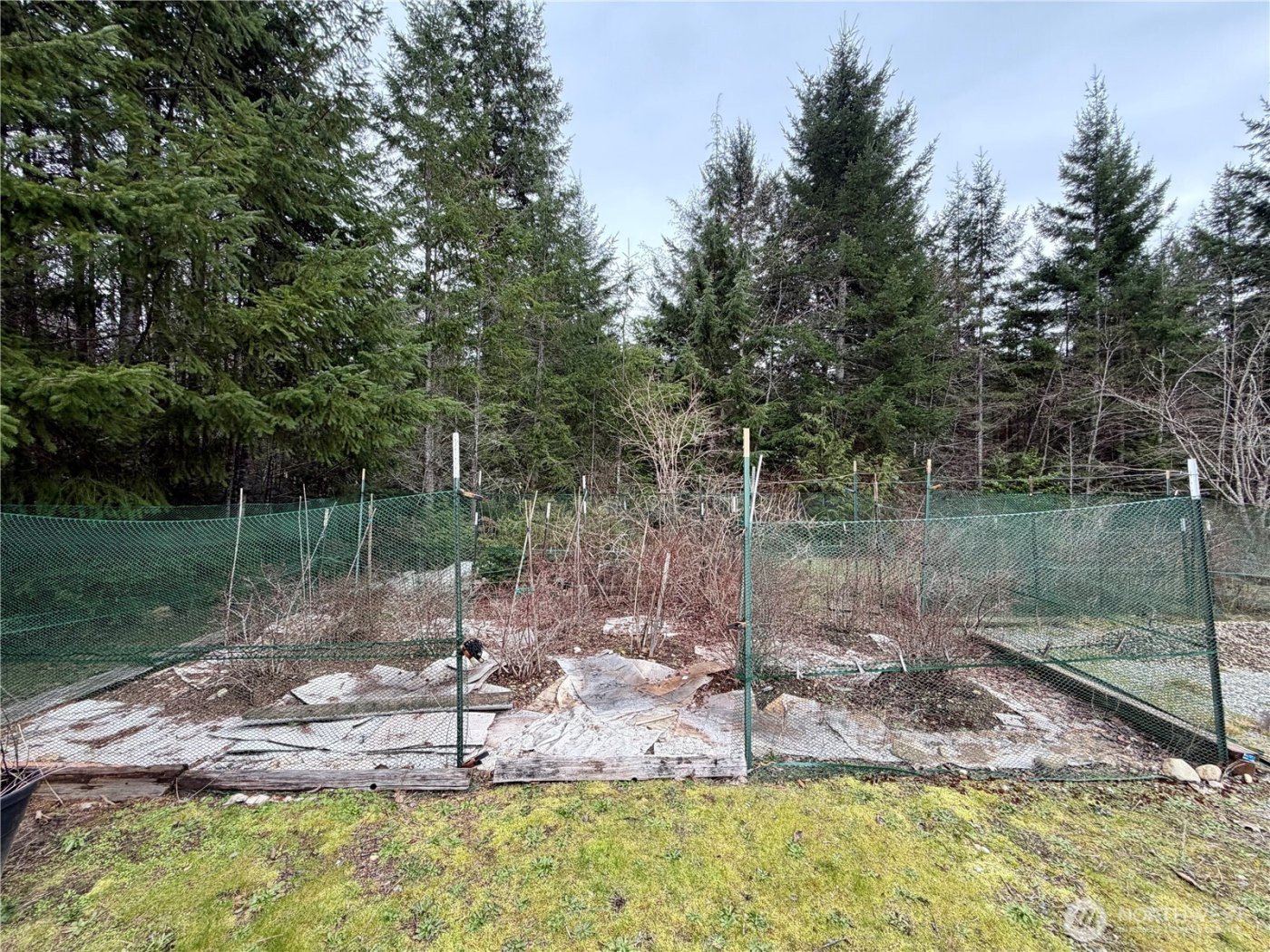 293 Blueberry Hill Drive , Quilcene, WA 98376-9667