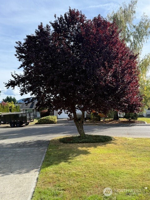 420 Rosewood Drive , Buckley, WA 98321