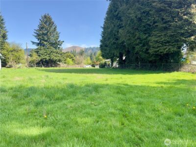 715 NE Pioneer Avenue NE, Castle Rock, WA 98611