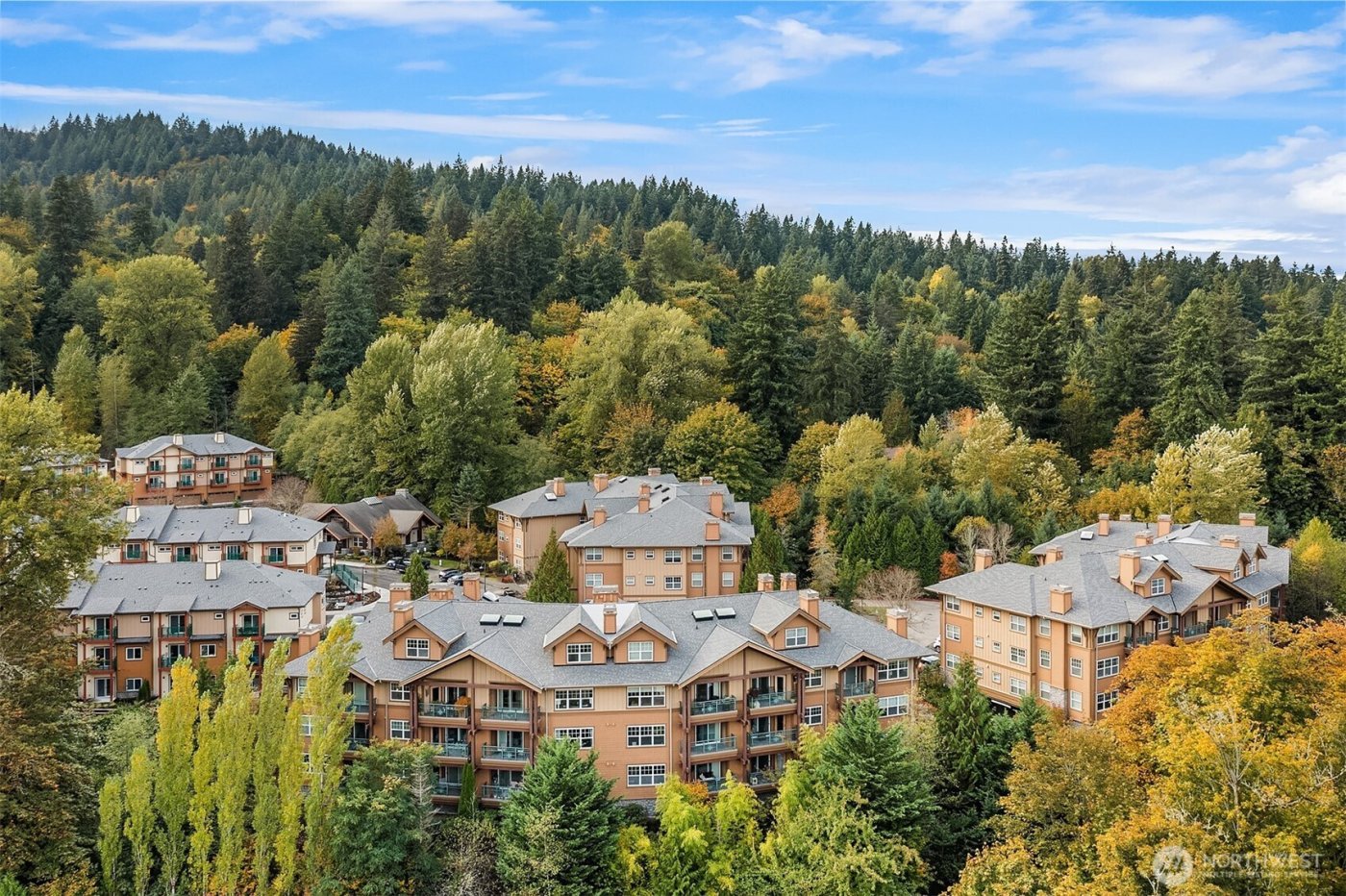 1000 Cabin Creek Lane SW #D304, Issaquah, WA 98027