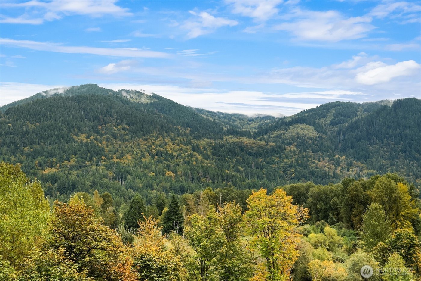 1000 Cabin Creek Lane SW #D304, Issaquah, WA 98027