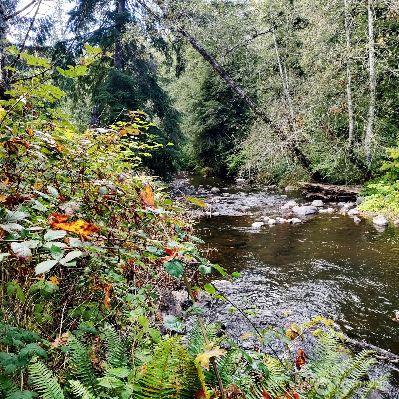 24609 Florence Acres Road , Monroe, WA 98272-8618