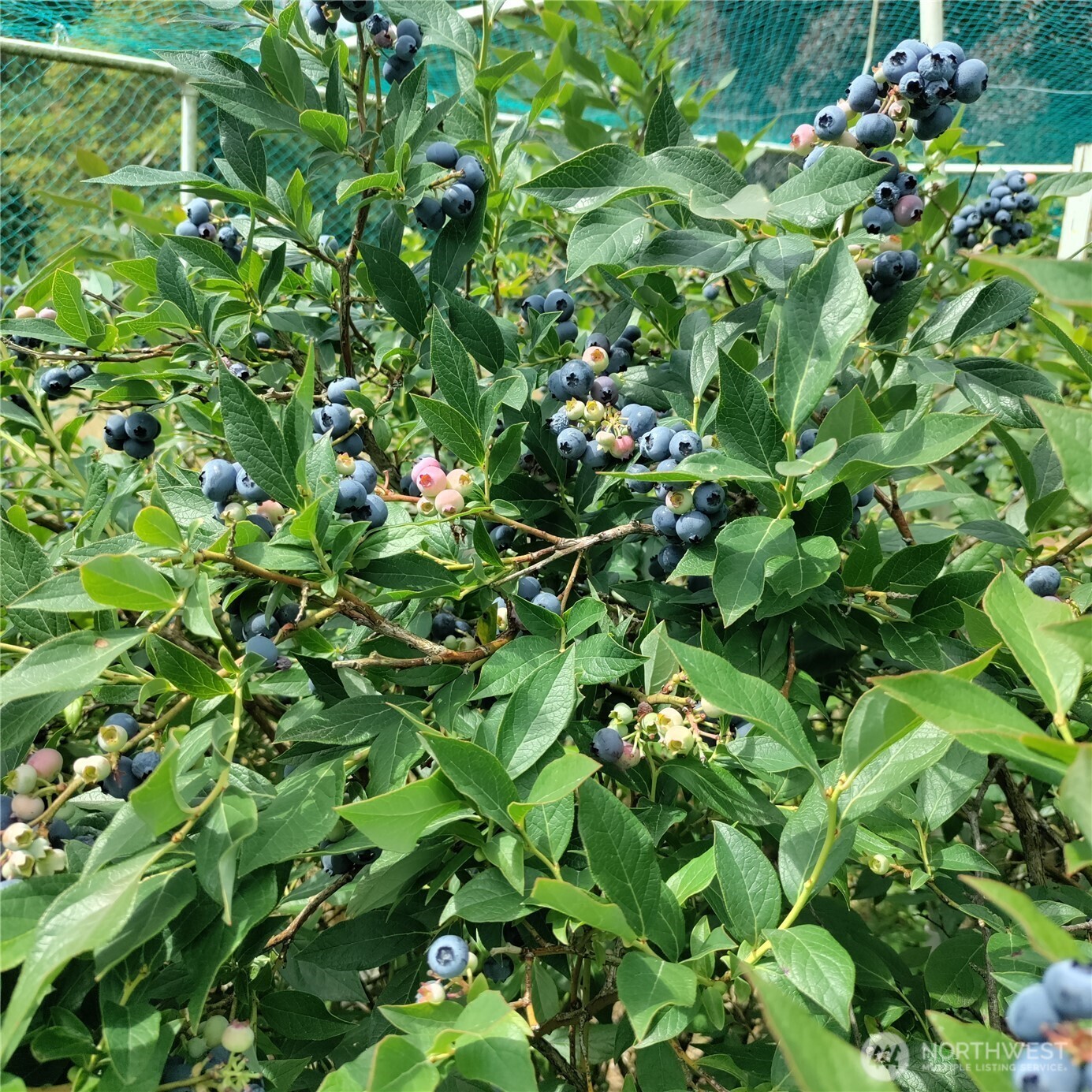 24609 Florence Acres Road , Monroe, WA 98272-8618