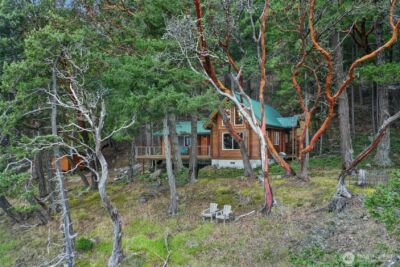 5 Smugglers Rowe , Henry Island, WA 98250 - Photo 23