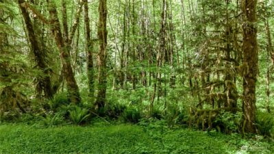 99992 Dowans Creek Road , Forks, WA 98331