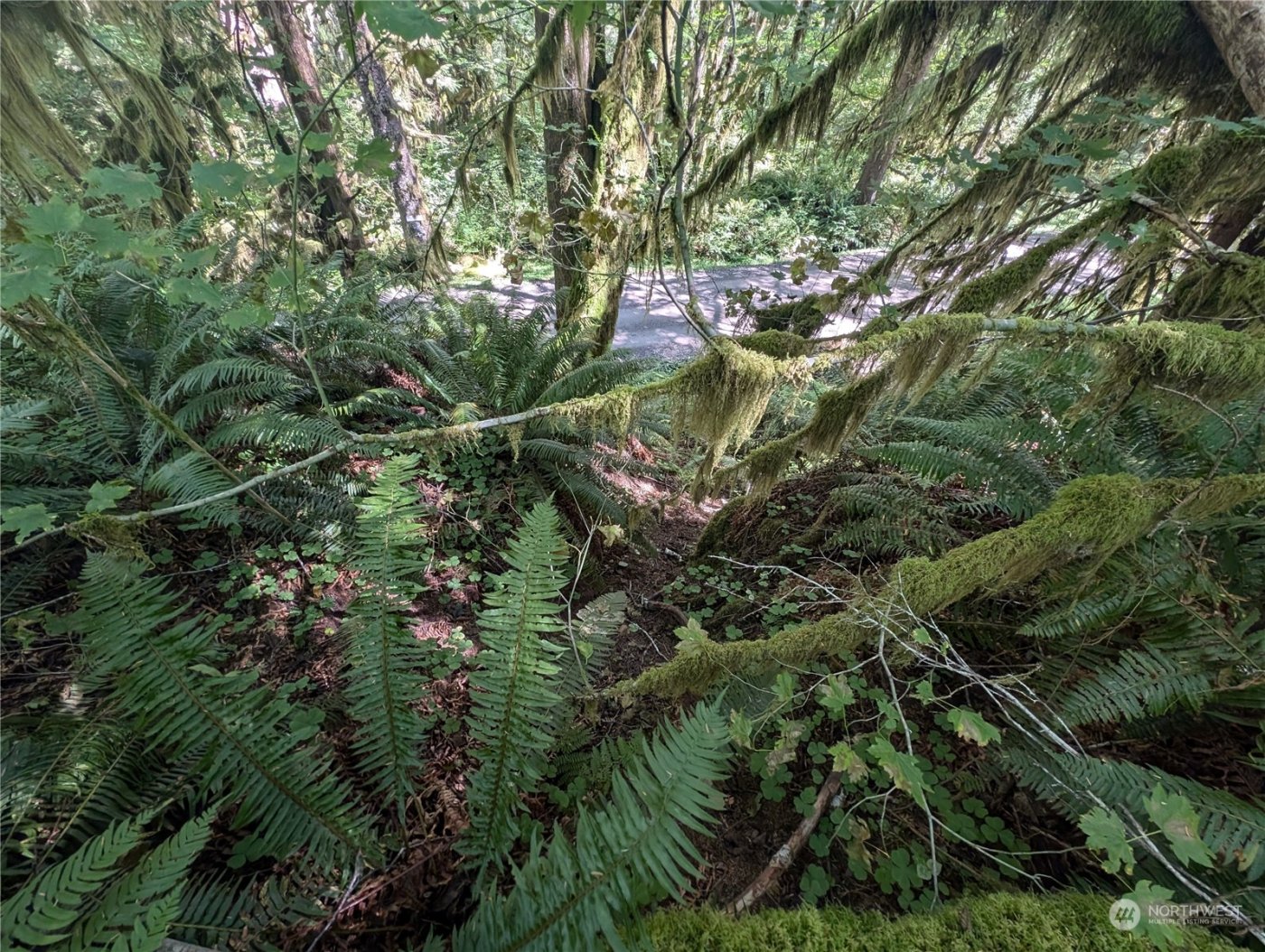 99992 Dowans Creek Road , Forks, WA 98331