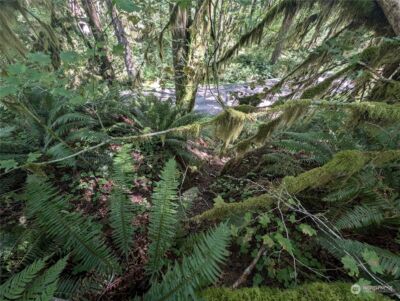 99992 Dowans Creek Road , Forks, WA 98331 - Photo 11