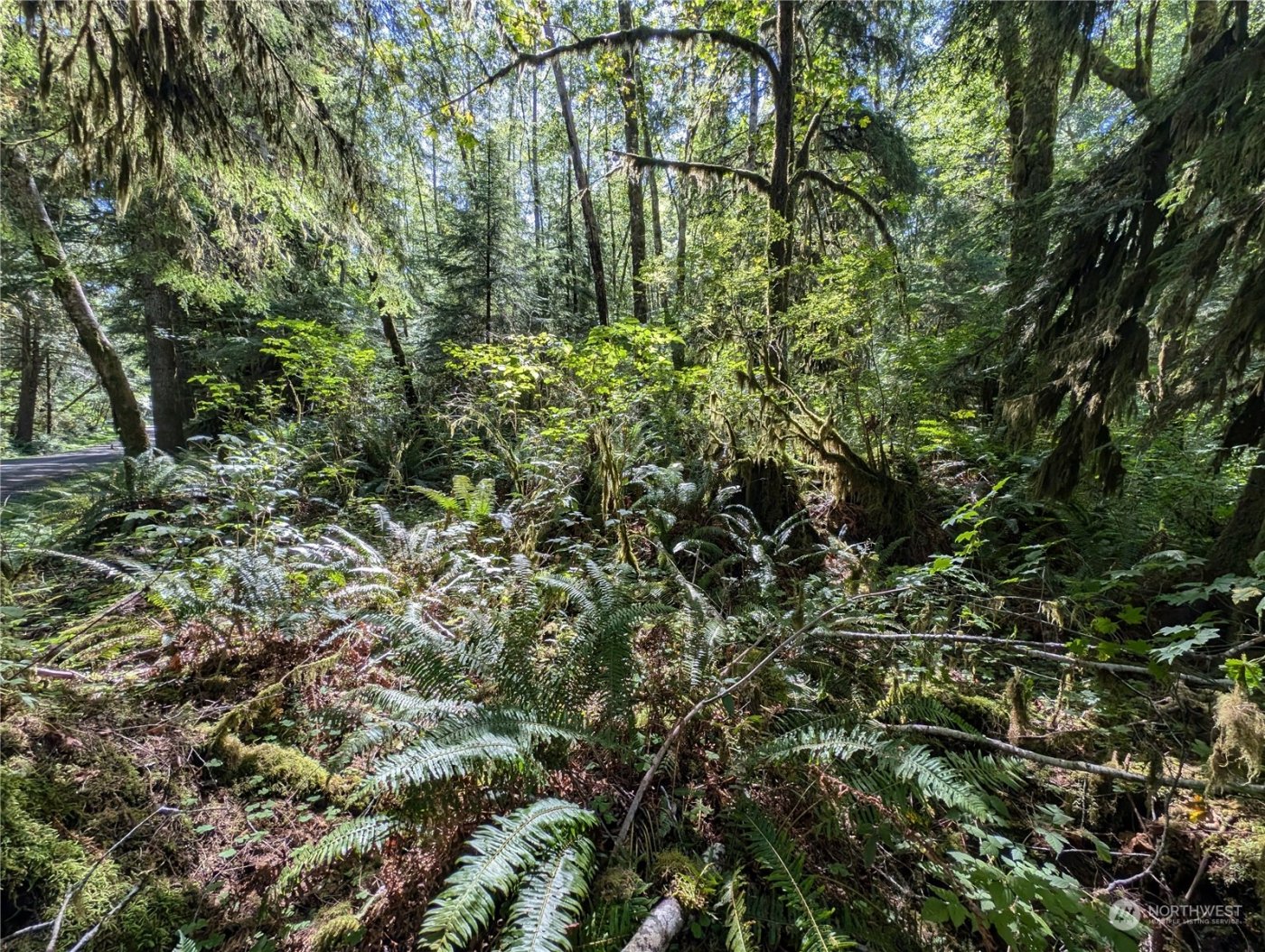 99992 Dowans Creek Road , Forks, WA 98331