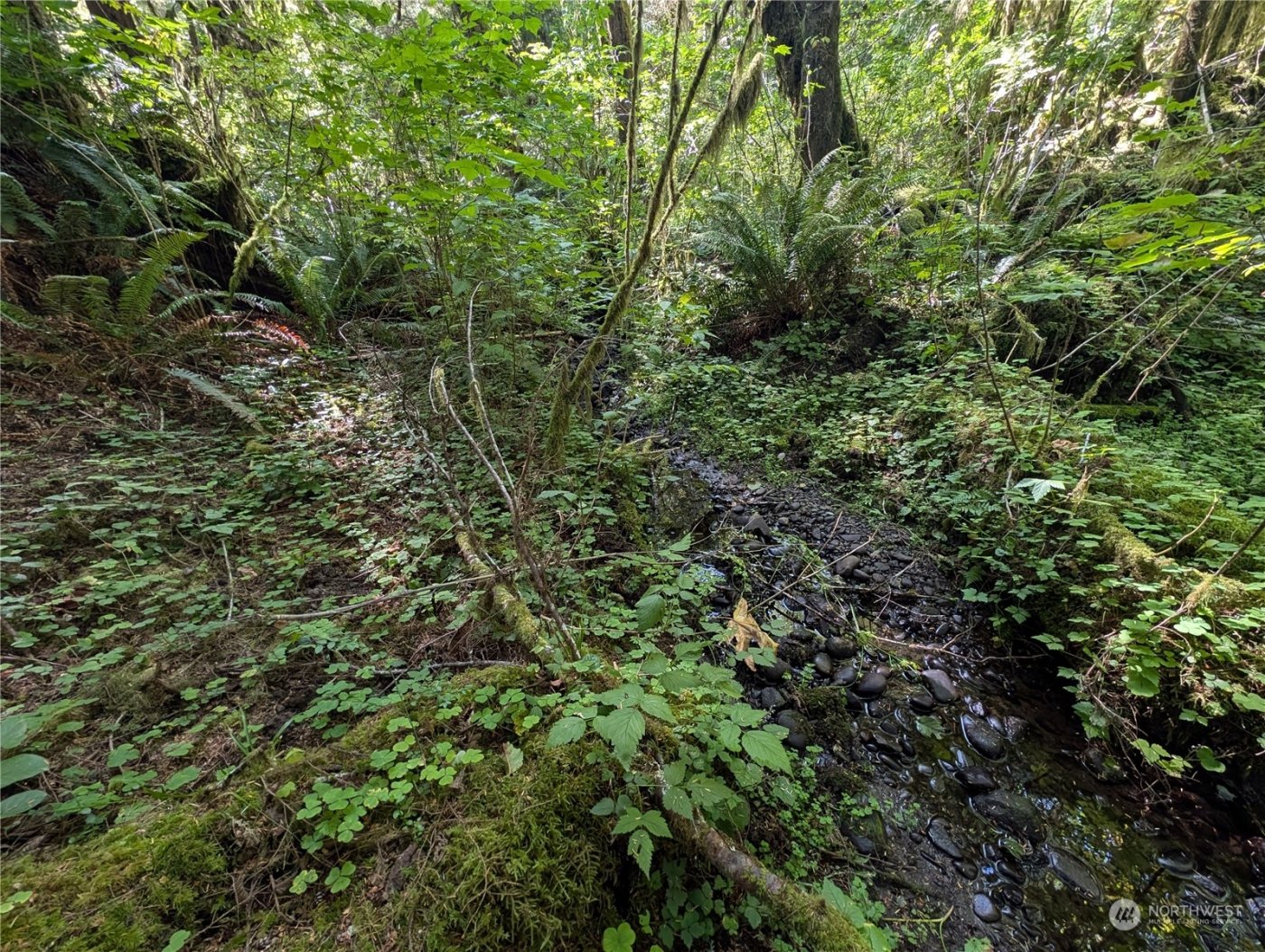 99992 Dowans Creek Road , Forks, WA 98331