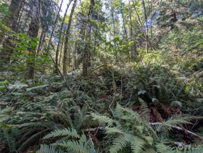 99992 Dowans Creek Road , Forks, WA 98331 - Photo 14