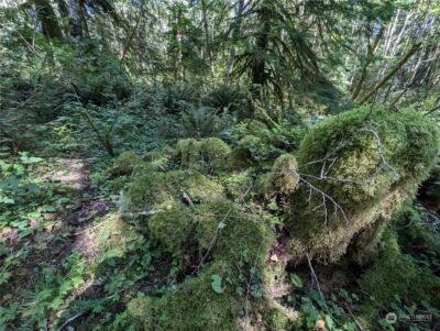 99992 Dowans Creek Road , Forks, WA 98331 - Photo 15