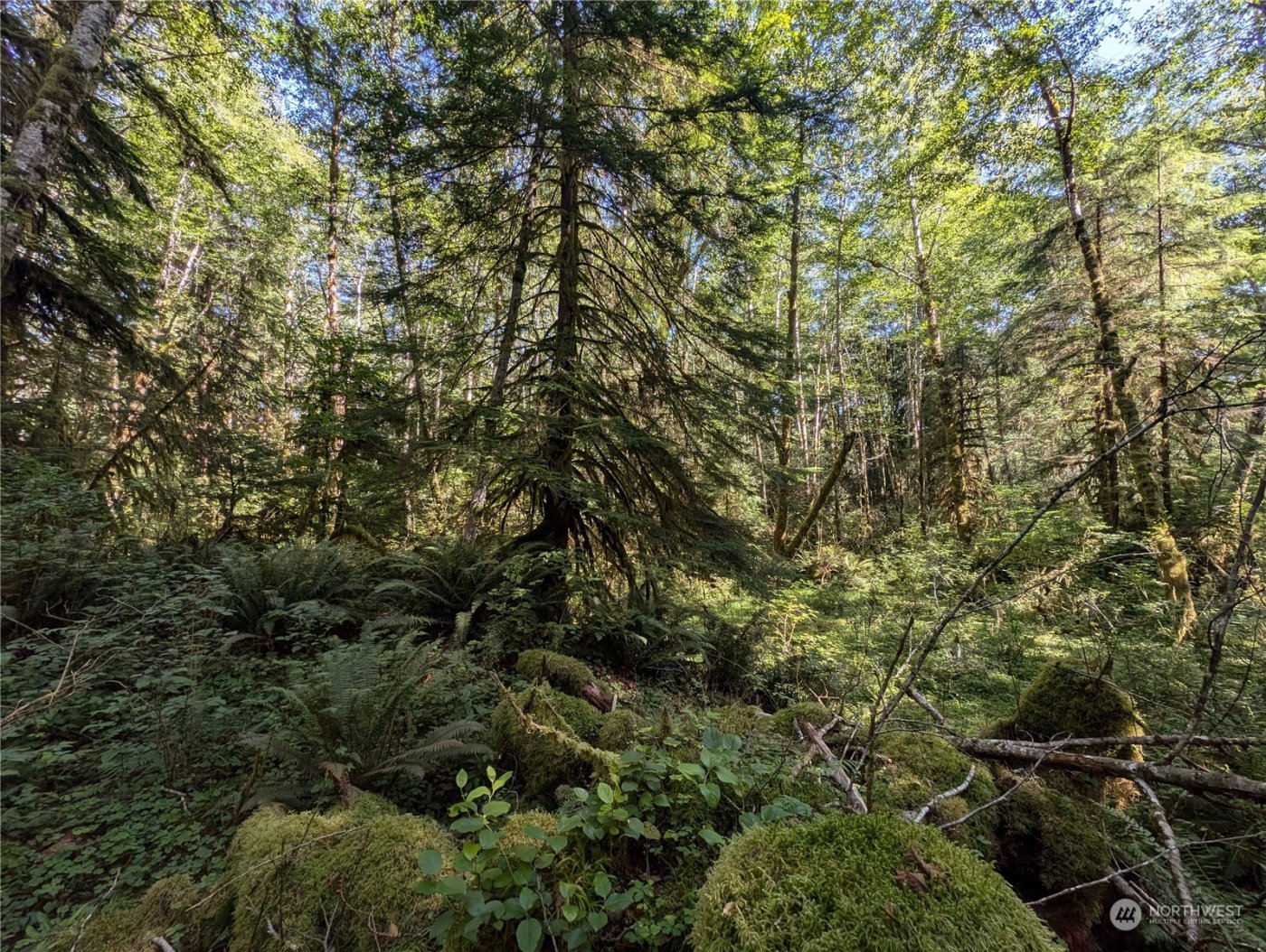 99992 Dowans Creek Road , Forks, WA 98331