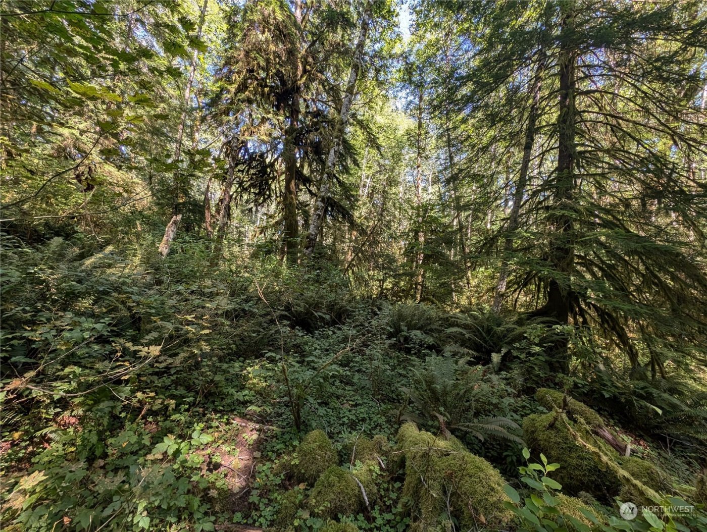 99992 Dowans Creek Road , Forks, WA 98331