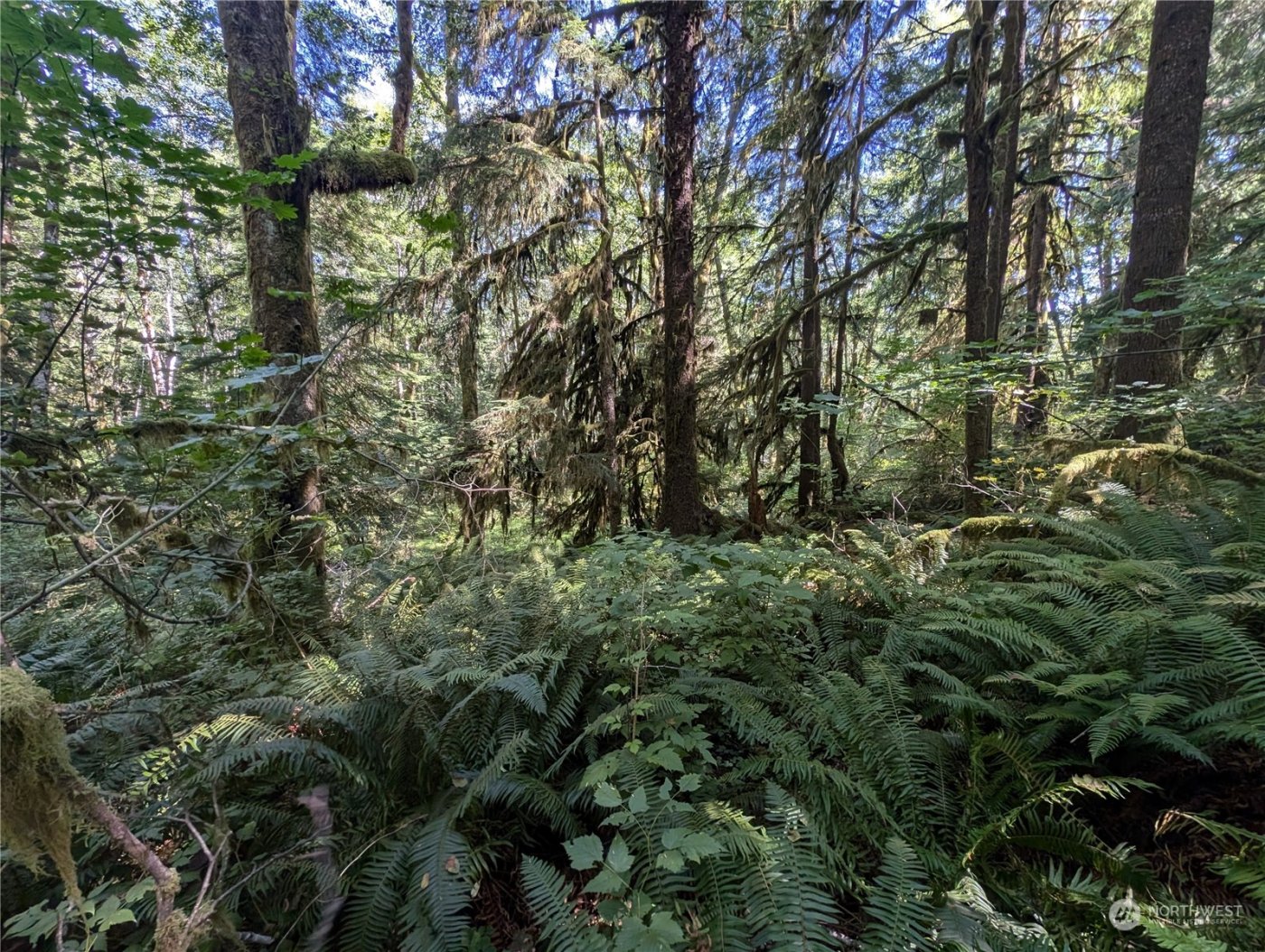 99992 Dowans Creek Road , Forks, WA 98331